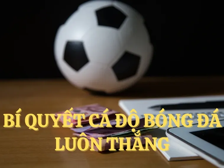Tìm Hiểu Cá Cược Bóng Đá 77Bet: Hành Trình Giải Trí Đỉnh Cao 2 Tìm Hiểu Cá Cược Bóng Đá 77Bet: Hành Trình Giải Trí Đỉnh Cao