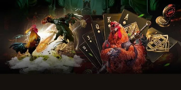 Hướng Dẫn Cách Chơi Đá Gà GA28 Tại 77Bet Chi Tiết Nhất